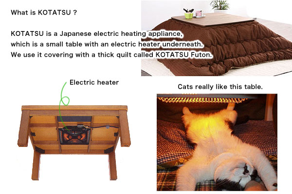 Going up on the KOTATSU playing with a flower in a vase the cat is happy 