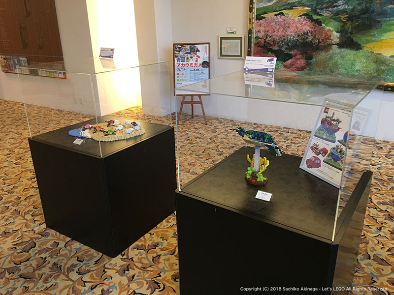 LEGO Event - Brick workshop & LEGO Art Exhibition - Loggerhead Turtles