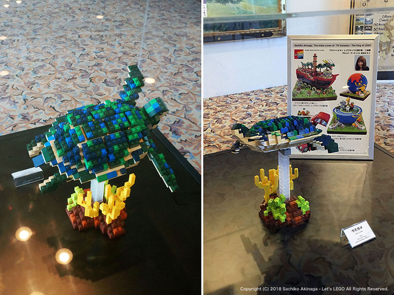 LEGO Event - Brick workshop & LEGO Art Exhibition - Loggerhead Turtles