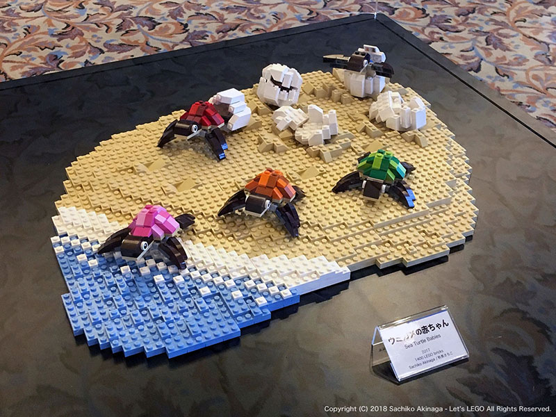 LEGO Event - Brick workshop & LEGO Art Exhibition - Loggerhead Turtles