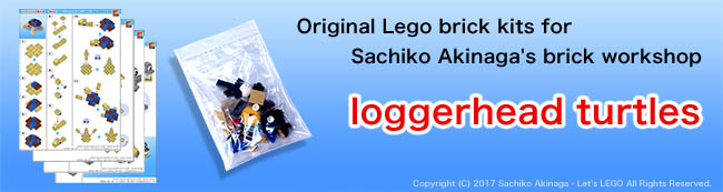 LEGO Event - Brick workshop & LEGO Art Exhibition - Loggerhead Turtles