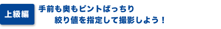 上級編）手前も奥もピントばっちり、絞り値を指定して撮影しよう！