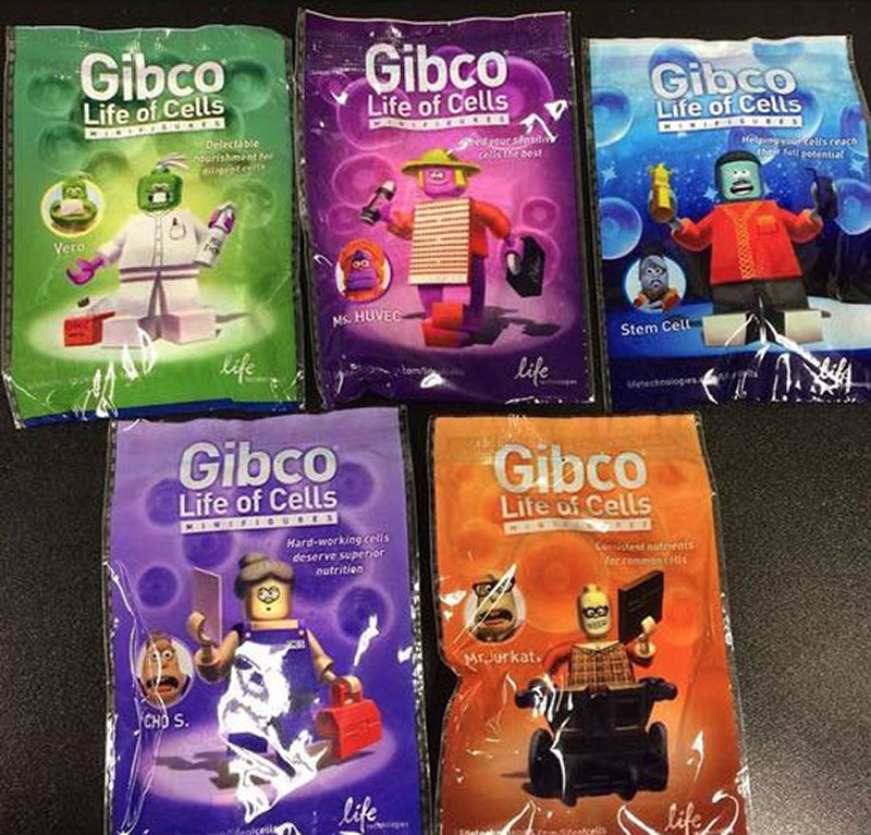 Gibco���{, �T�[���t�B�b�V���[�T�C�G���e�B�t�B�b�N - ���S