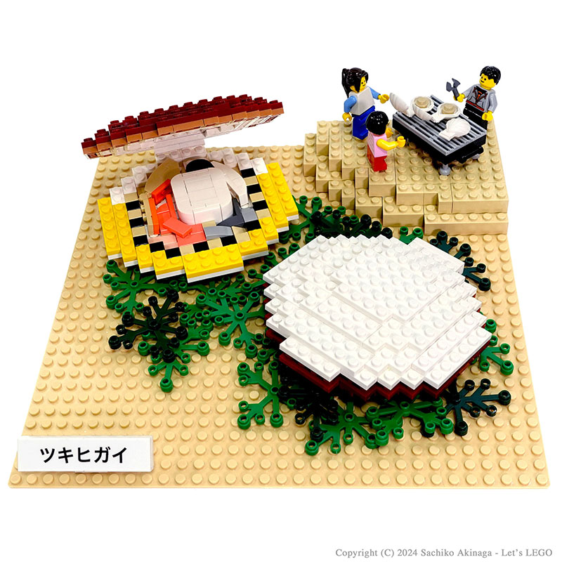�c�L�q�K�C - �������_�ѐ��Y�����S���f��
