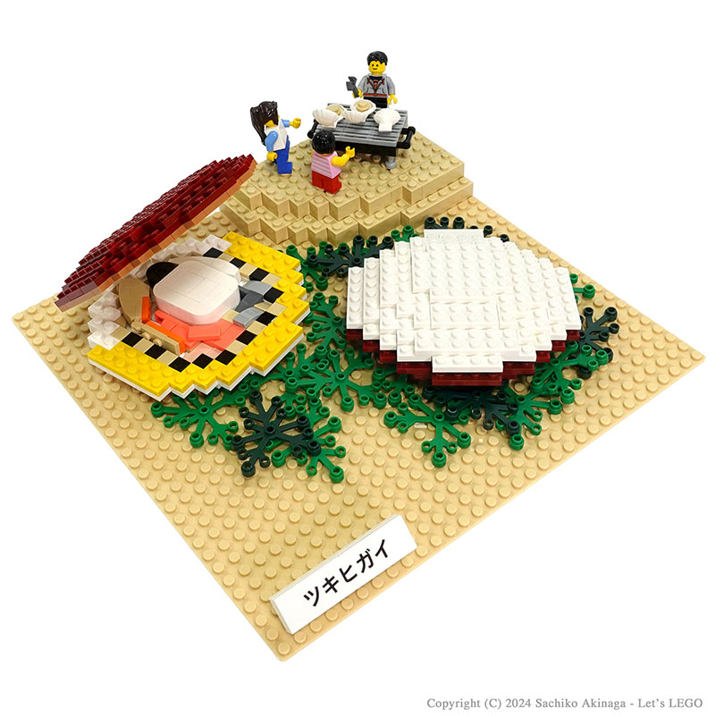 �c�L�q�K�C - �������_�ѐ��Y�����S���f��